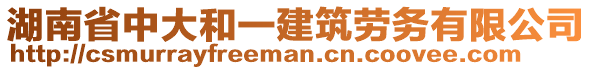 湖南省中大和一建筑勞務有限公司