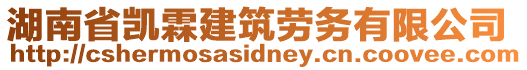 湖南省凱霖建筑勞務有限公司
