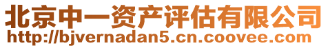 北京中一資產(chǎn)評估有限公司