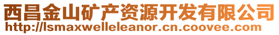 西昌金山礦產(chǎn)資源開發(fā)有限公司