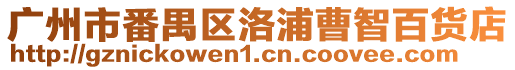 廣州市番禺區洛浦曹智百貨店