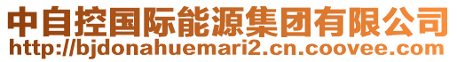 中自控國(guó)際能源集團(tuán)有限公司