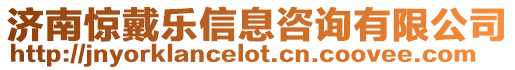 濟南驚戴樂信息咨詢有限公司
