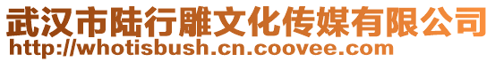 武漢市陸行雕文化傳媒有限公司
