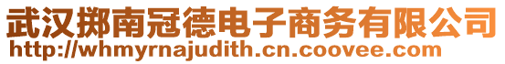 武漢擲南冠德電子商務有限公司