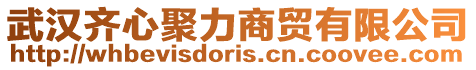 武漢齊心聚力商貿(mào)有限公司
