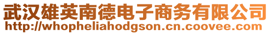 武漢雄英南德電子商務(wù)有限公司