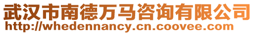 武漢市南德萬馬咨詢有限公司