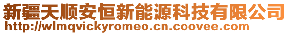 新疆天順安恒新能源科技有限公司