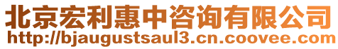北京宏利惠中咨詢有限公司