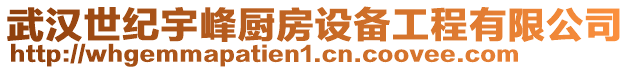 武漢世紀宇峰廚房設備工程有限公司