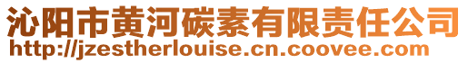 沁陽市黃河碳素有限責任公司
