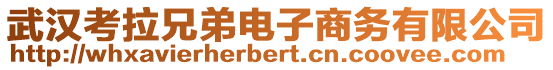 武漢考拉兄弟電子商務有限公司