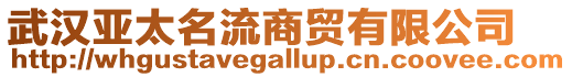 武漢亞太名流商貿有限公司