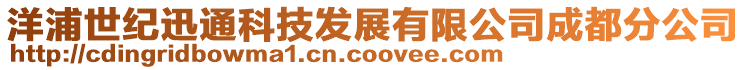 洋浦世紀迅通科技發展有限公司成都分公司