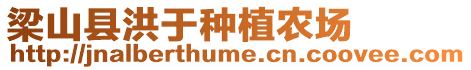梁山縣洪于種植農(nóng)場
