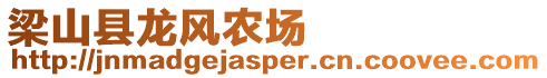 梁山縣龍風農場