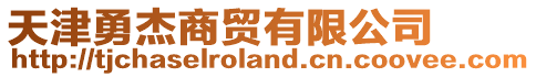 天津勇杰商貿有限公司