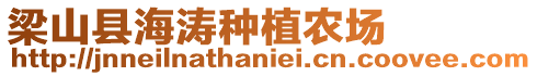 梁山縣海濤種植農場
