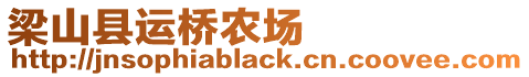 梁山縣運橋農場