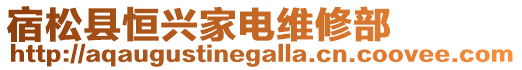 宿松縣恒興家電維修部
