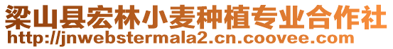 梁山縣宏林小麥種植專業合作社