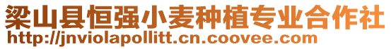 梁山縣恒強小麥種植專業(yè)合作社