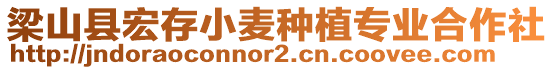 梁山縣宏存小麥種植專業合作社