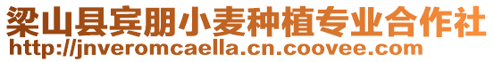 梁山縣賓朋小麥種植專業(yè)合作社