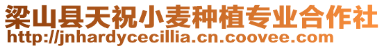 梁山縣天祝小麥種植專業合作社