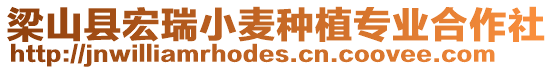 梁山縣宏瑞小麥種植專業合作社