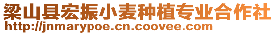 梁山縣宏振小麥種植專業(yè)合作社