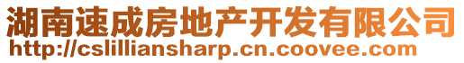 湖南速成房地產開發有限公司