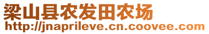 梁山縣農發田農場
