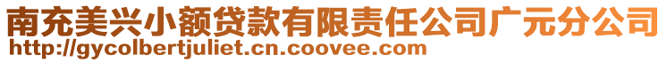 南充美興小額貸款有限責任公司廣元分公司