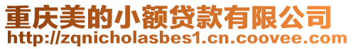 重慶美的小額貸款有限公司