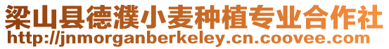 梁山縣德濮小麥種植專業合作社