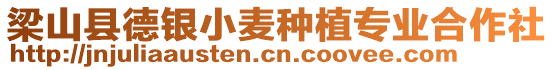 梁山縣德銀小麥種植專業合作社