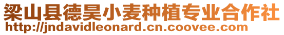 梁山縣德昊小麥種植專業合作社
