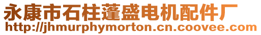 永康市石柱蓬盛電機(jī)配件廠