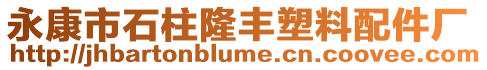 永康市石柱隆豐塑料配件廠