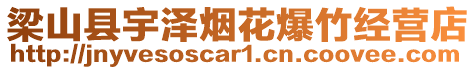 梁山縣宇澤煙花爆竹經營店