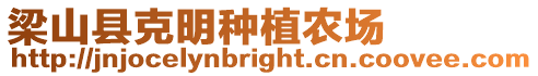 梁山縣克明種植農場