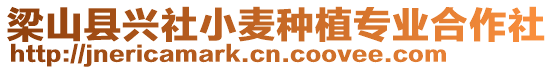 梁山縣興社小麥種植專業合作社