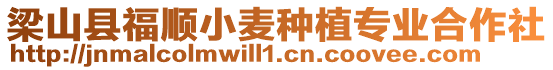 梁山縣福順小麥種植專(zhuān)業(yè)合作社