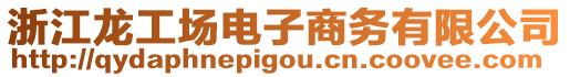 浙江龍工場電子商務有限公司
