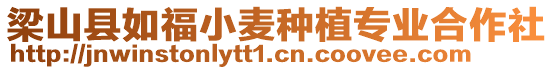 梁山縣如福小麥種植專業合作社
