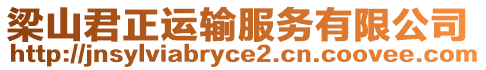 梁山君正運輸服務(wù)有限公司
