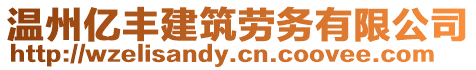 溫州億豐建筑勞務(wù)有限公司