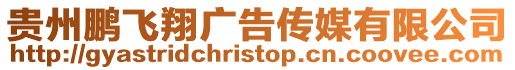 貴州鵬飛翔廣告?zhèn)髅接邢薰? style=